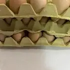 بيض بلدي