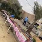 مشويات