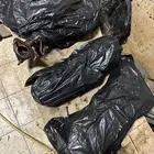 روس مكينة وكرنك فكسار ولكزس 2007