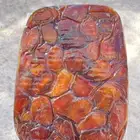 يوجد تمر اخلاص طيب ونظيف ومقمع وحبه كبير وفيه نوع حبه وسط