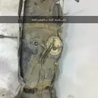 للبيع قطع هايلكس