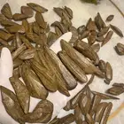 عود مروكي ملكي