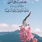 مطلوب سياره اقساط كل شهر ألف