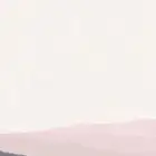 مزاد خيول لكل انواع الخيول العربي او الانجليزي