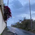 سياره