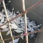 حمام فرنسي