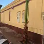ابوزيدالتوريد جميع انوع النخيل