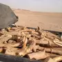 سمر طيب وناشف  
