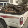 الباحه 