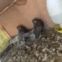 مجموعه حمام .. تصفيه