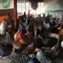 دجاج بلدي