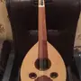 عود مصري جديد