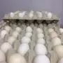 بيض بلدي للاكل 