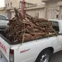 حطب للبيع
