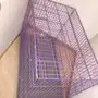 قفص كبير للطيور والقطط والكلاب