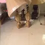 مغسله مع مرايه ورفين من ايكيا واربعه ...