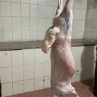 ذبايح حري ذبائح ثلاجه يوجد توصيل غنم بر نظيفه شرط