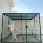 شبك قفص كلاب قطط دجاج حمام