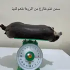 سمن غنم وبقر في عكه في بيشة