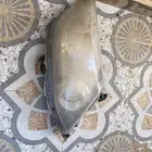 عين انوار فورد شنر 2015