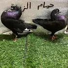 حمام نفاخ امستردام