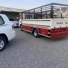 دينا اصفار خمس متر 2025