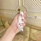 روز اليف وهدد