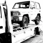 سطحه لنقل في بارق