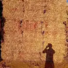 ذرة جيزانية للبيع شد جندير طيب بالحيل الموقع ميقوع الجوف