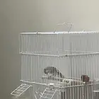 حسون تغريد تم البيع