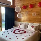 تزيين حفلات