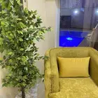 شاليهات في الشقيق
