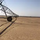 رشاش16هكتار محروث جاهز للزراع
