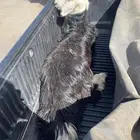 رخله طيبه ضهر فل تضحي