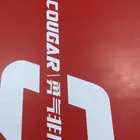 سكيت بورد
