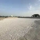 احلال التربه
