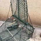 مصيده صياده بلابل حسون