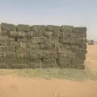 اعلاف الخير برسيم حايل صافي شمال جدة .. عسفان