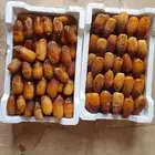 انواع تمور فاخرة بالفلين
