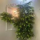 ( جديده )شجره من الخشب الطبيعي