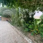 استراحة مزرعه العفجه الرحمانيه الخرج الهياثم الرياض