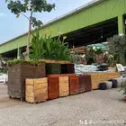 مشتل زراعي