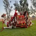 رحول ايجار