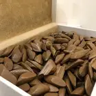 بخور مروكي ضمان