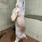 حري ذبائح رمضان ذبايح ثلاجه يوجد صلاخه وتوصيل