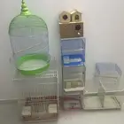 مستلزمات طيور