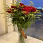 توصيل فازات ورد