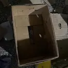 كراتين موز مفرزه نظيفه
