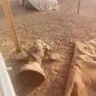 قير شروكي للبيع كامل مع الدبل موديل 2001