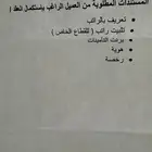 كامري 2025 LE hybrid تنازل من غير مقابل